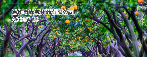 公司簡(jiǎn)介配圖
